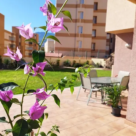 Vivienda Vacacional Compartida Отель типа 