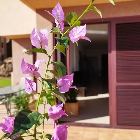 Vivienda Vacacional Compartida Bed & Breakfast