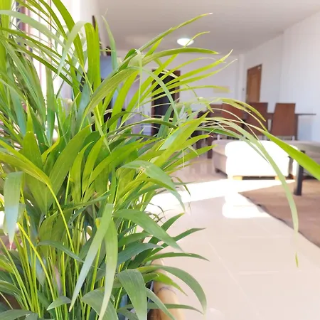 Vivienda Vacacional Compartida Bed & Breakfast *